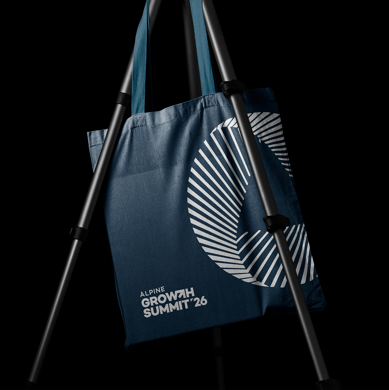 Option 01 — tote bag